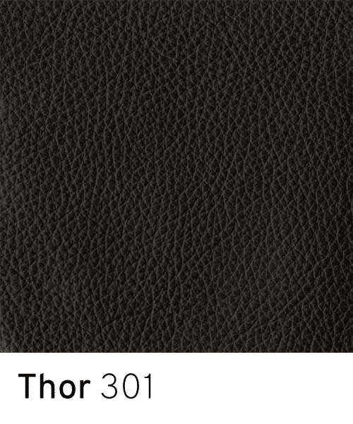 Materialprøve av 301 Thor