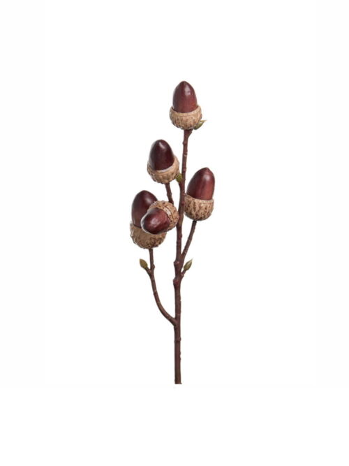 Kvist med nøtter, 35 cm