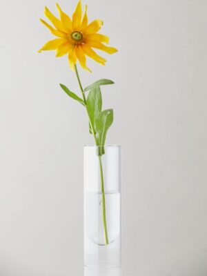 Flower Tube Tall Vase, Transparent