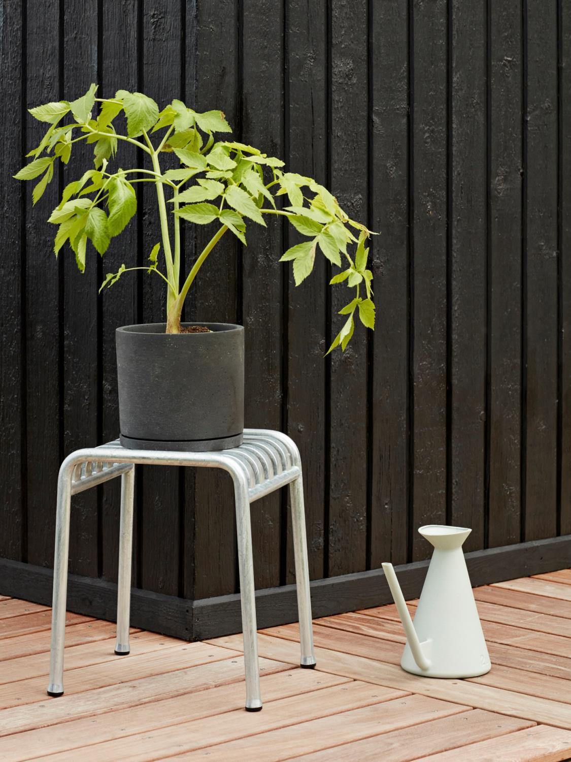 Palissade Krakk 8 Palissade Krakk 8