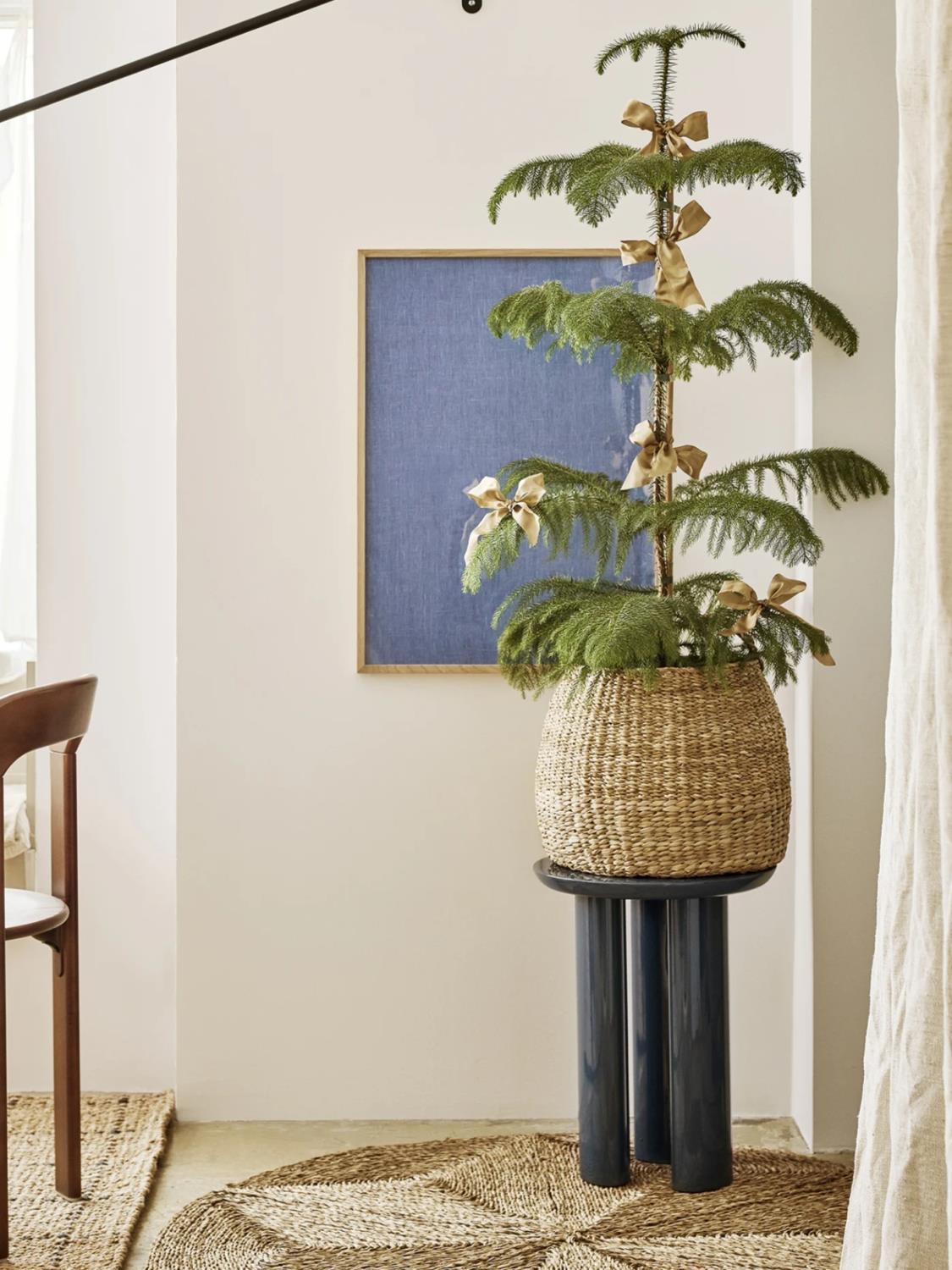 Esther kurv med fletting og håndtak 3 Esther kurv med fletting og håndtak 3