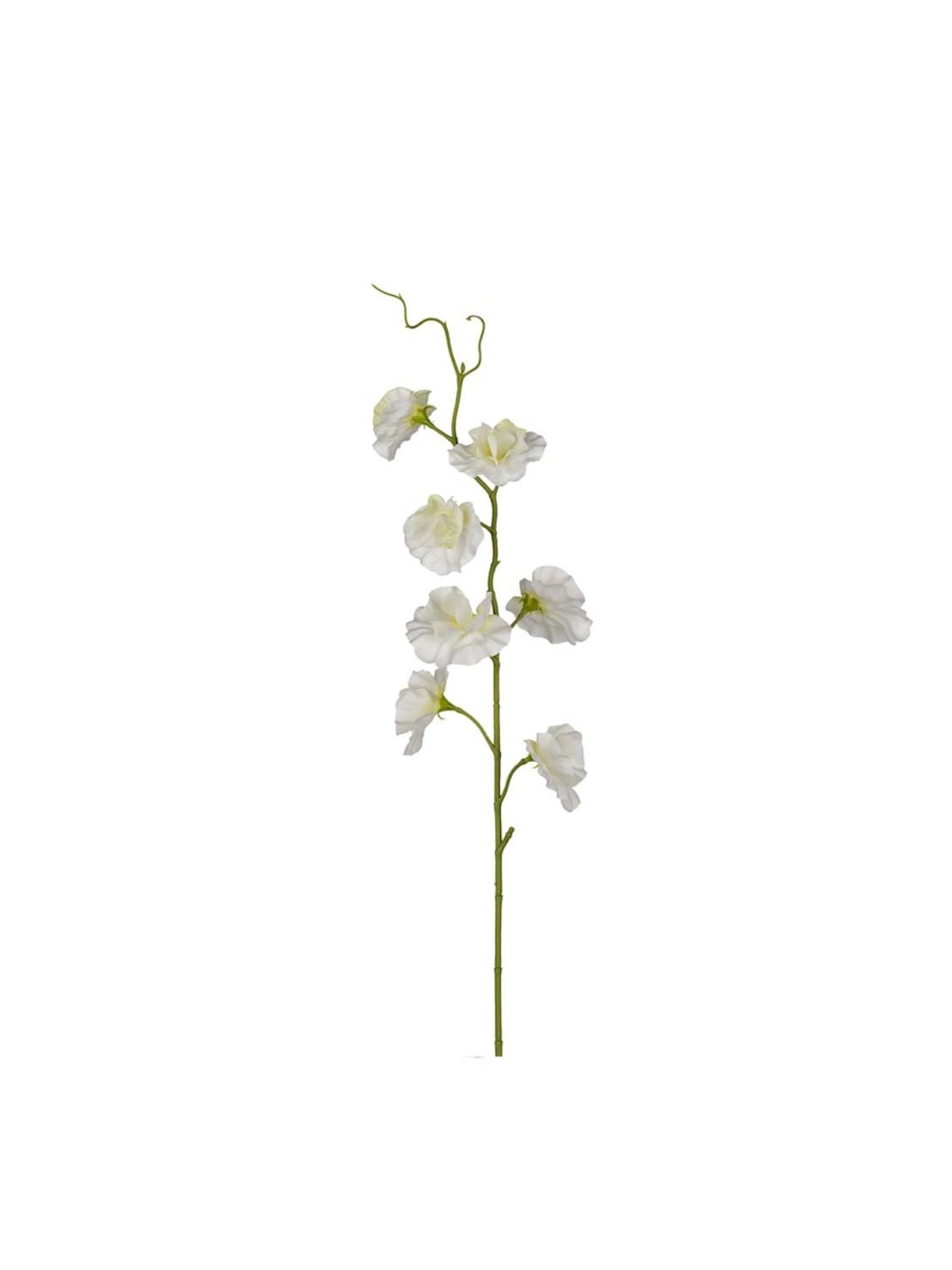 Erteblomst, hvit 55 cm Erteblomst, hvit 55 cm