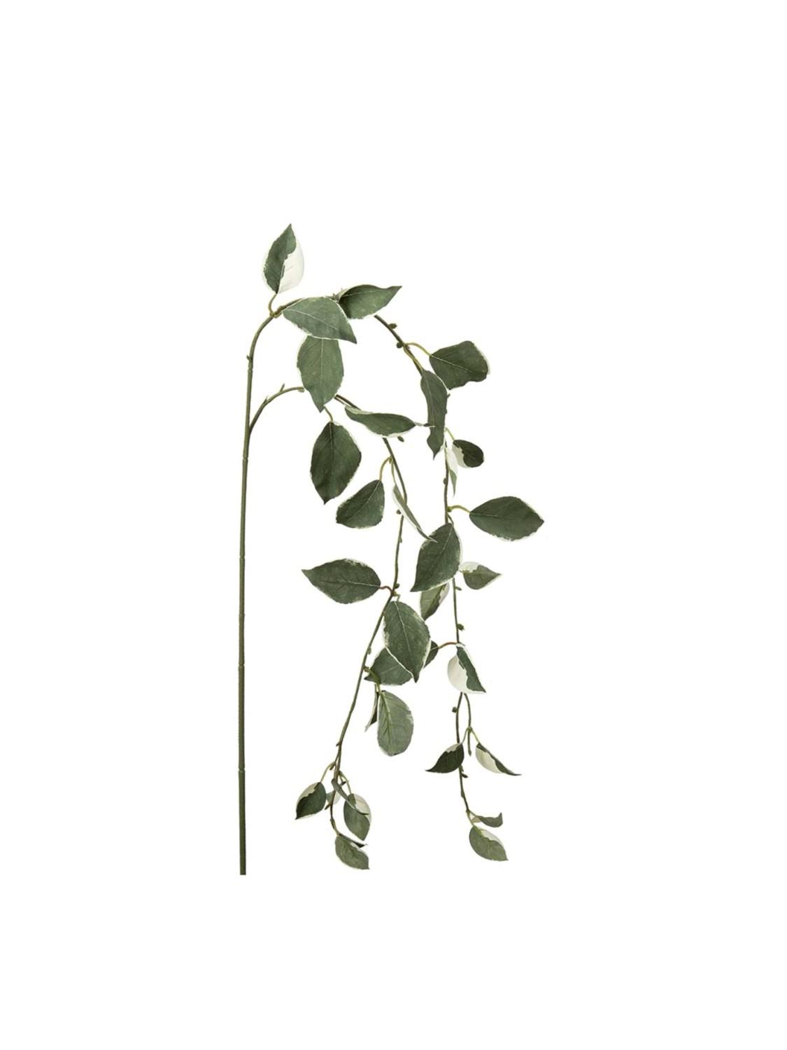 Kvist, 50 cm Kvist, 50 cm