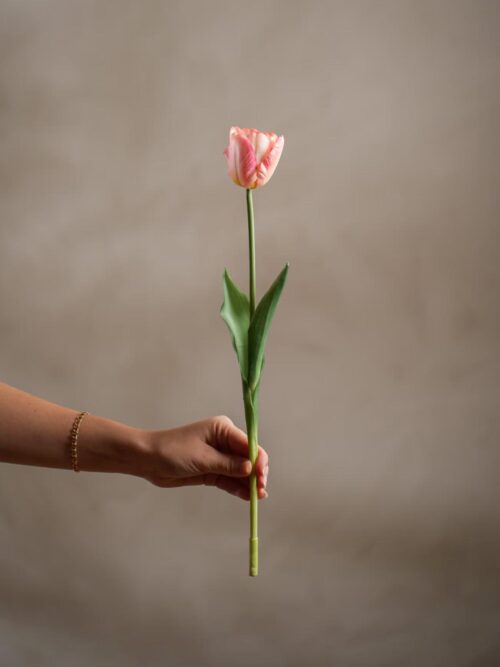 Tulipan orange, 45 cm 2