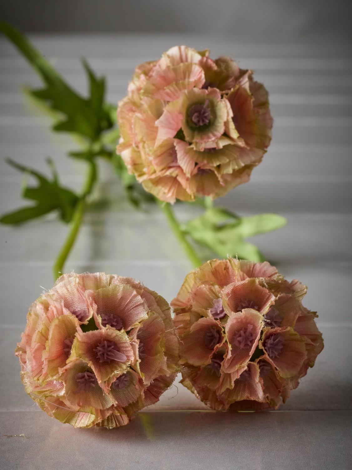 Brun Scabiosa, 60 cm 3 Brun Scabiosa, 60 cm 3