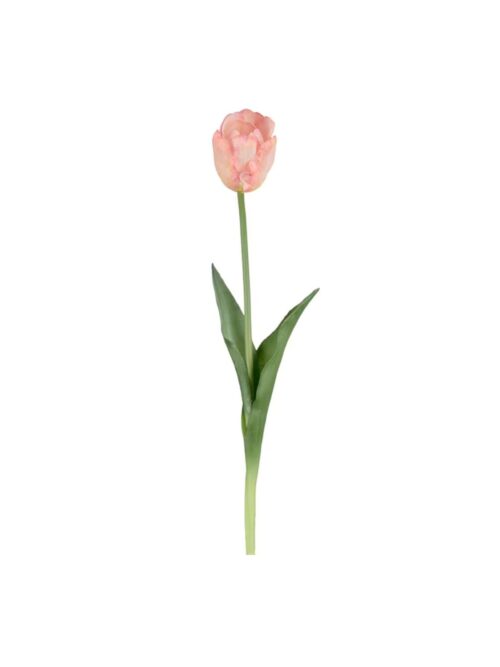 Tulipan orange, 45 cm