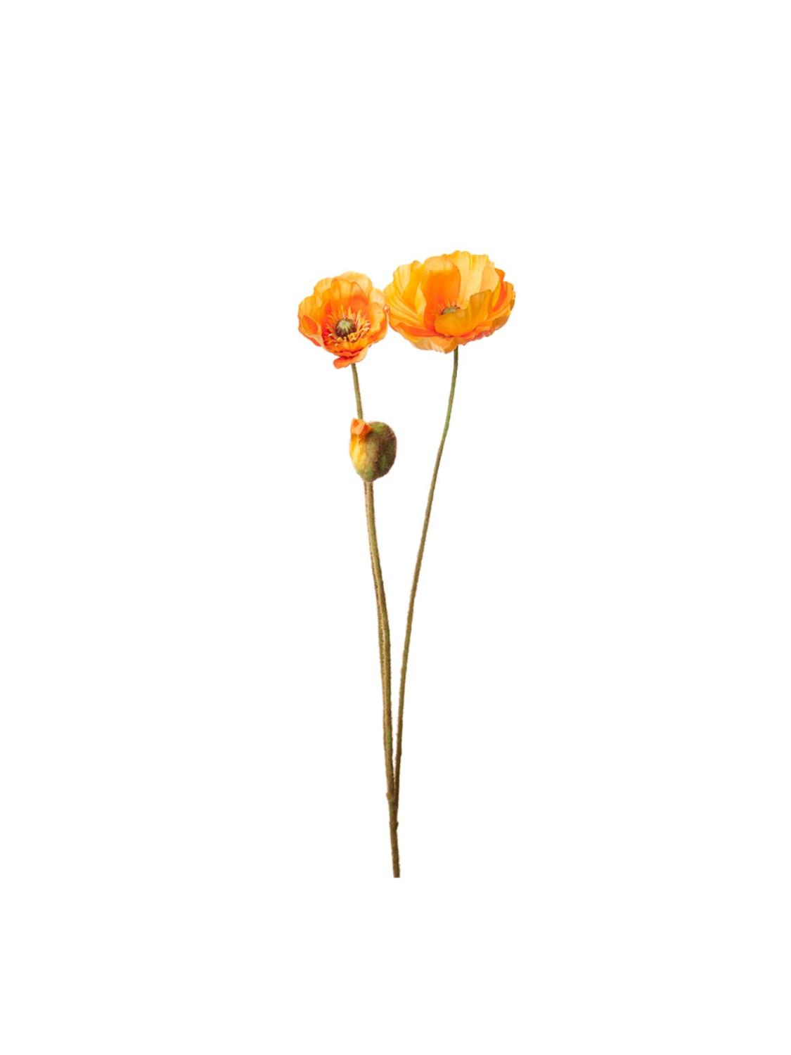 Valmue gul, 75 cm Valmue gul, 75 cm