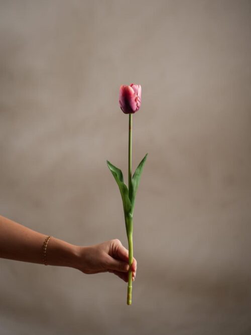 Tulipan lilla, 45 cm 2