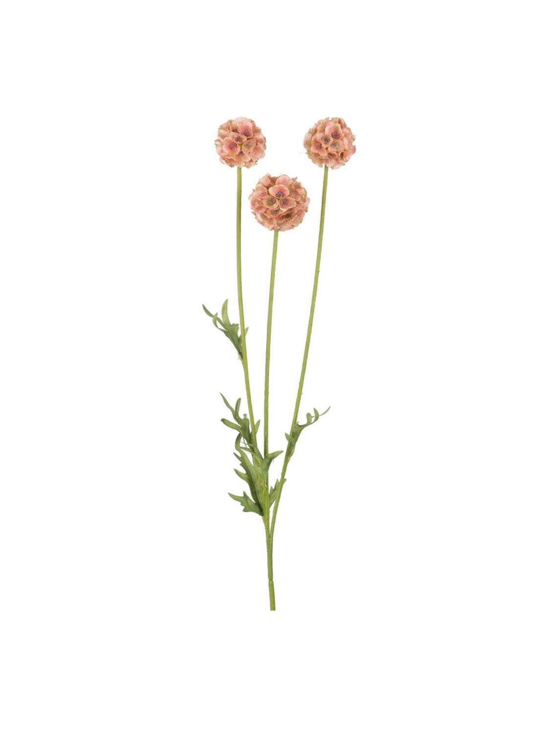 Brun Scabiosa, 60 cm Brun Scabiosa, 60 cm