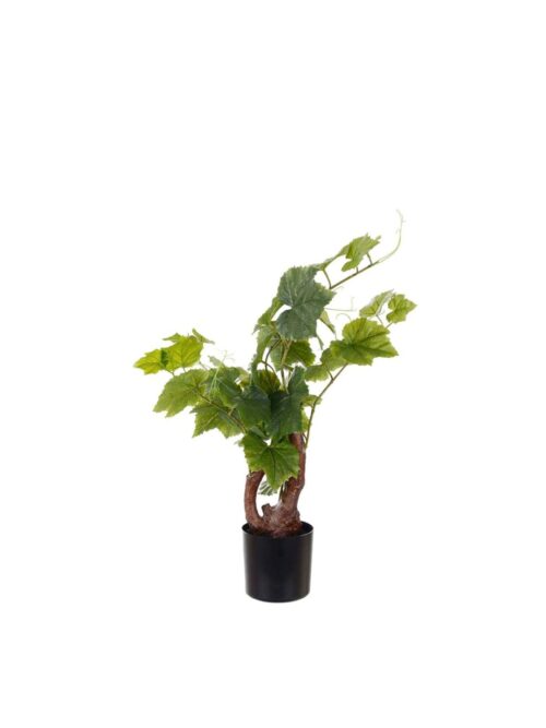 Vinranke med potte, 55 cm