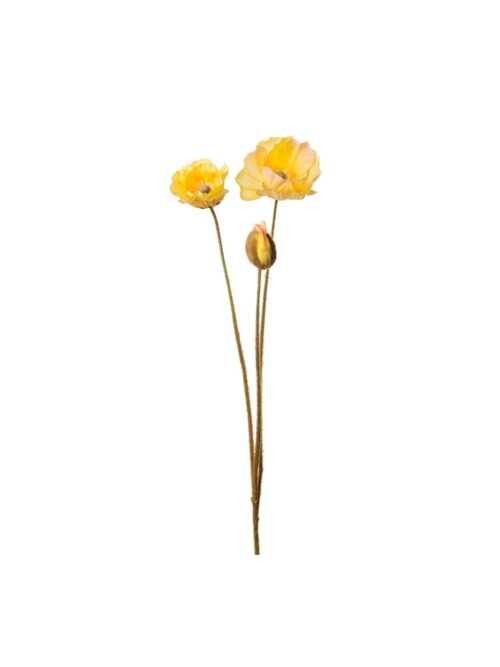 Valmue, Gul, 75 cm