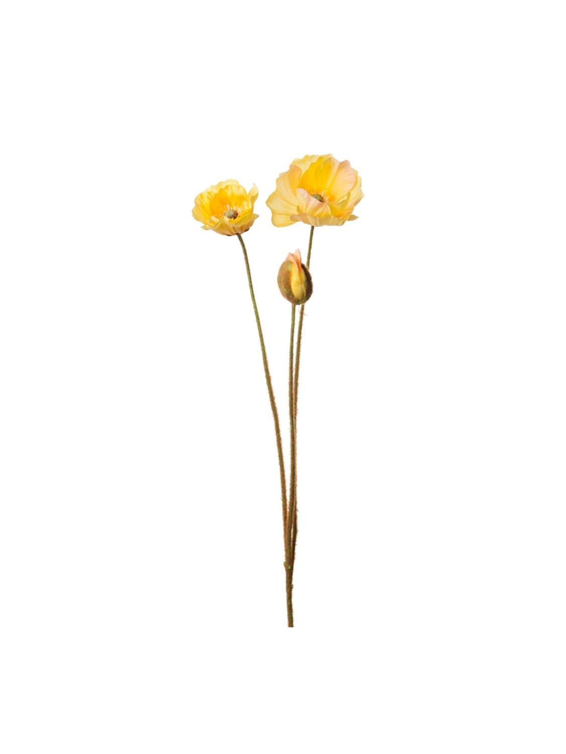 Valmue, Gul, 75 cm Valmue, Gul, 75 cm