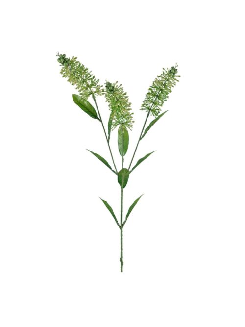 Astilbe Yellow, 70 cm