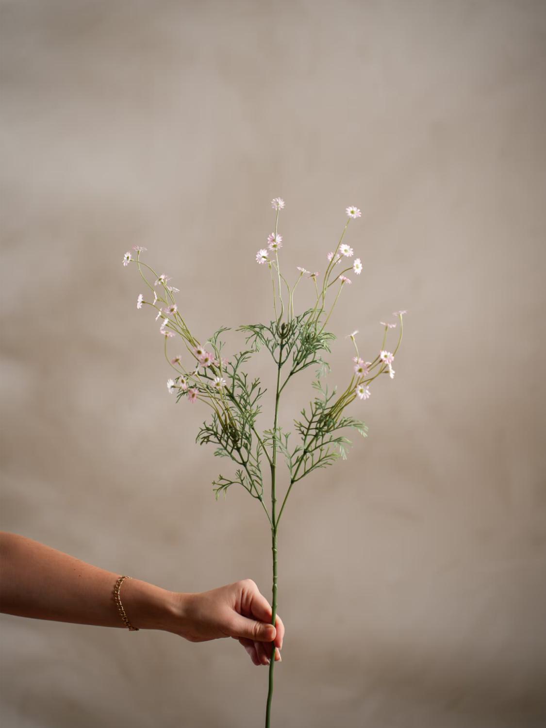 Daisy, Rosa, 72 cm 2 Daisy, Rosa, 72 cm 2