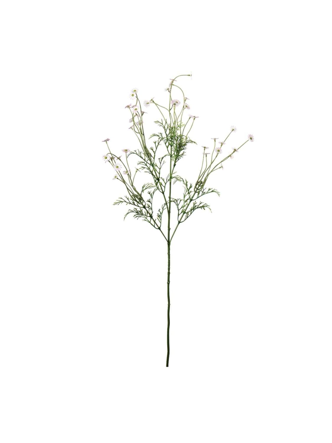 Daisy, Rosa, 72 cm Daisy, Rosa, 72 cm