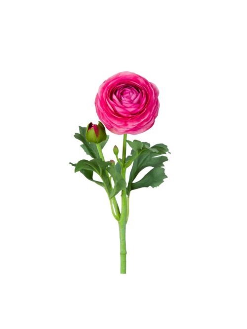 Ranuncel rosa, 50 cm