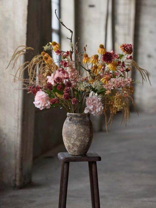 Amaranthus, Beige 2