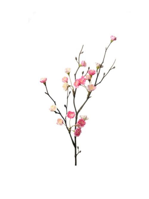 Blomkvist, 50 cm