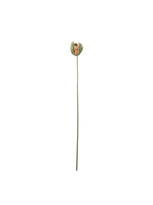 Vallmueknopp, Orange, 78 cm