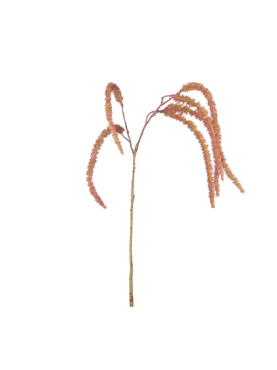 Amaranthus Rød, 65 cm Amaranthus Rød, 65 cm
