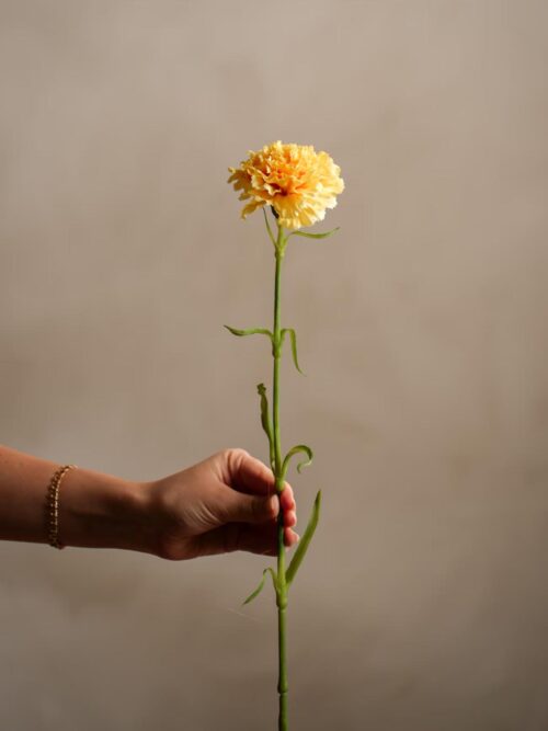 Nellik Gul, 44 cm 2