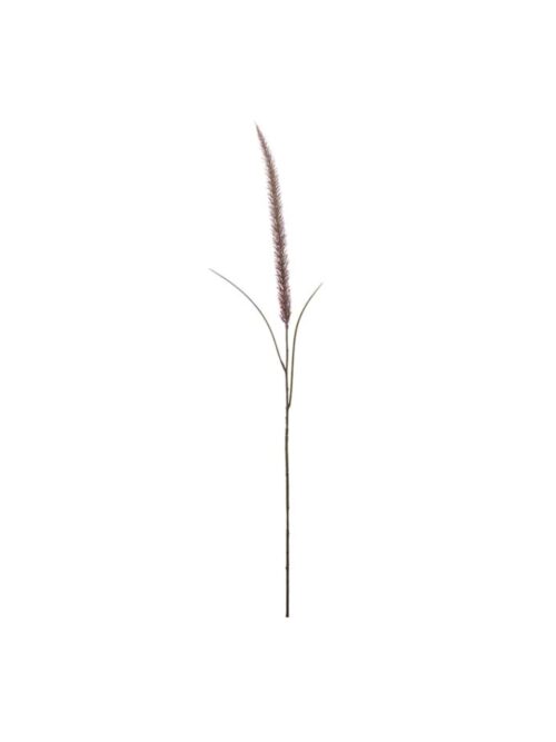 Fjærbørstegras, 105 cm