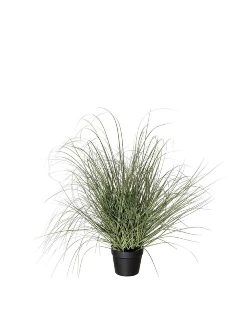 Gress med potte, 70 cm