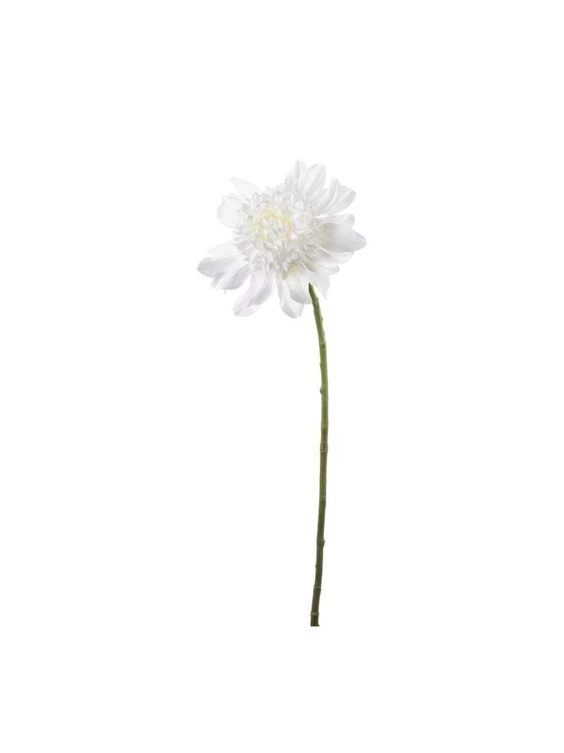 Dahlia, Hvit, 62 cm Dahlia, Hvit, 62 cm