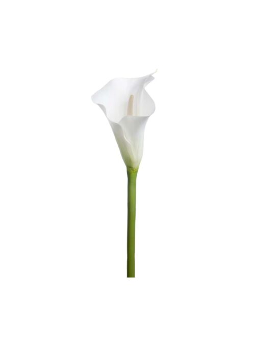 Calla Lilje, Hvit, 80 cm