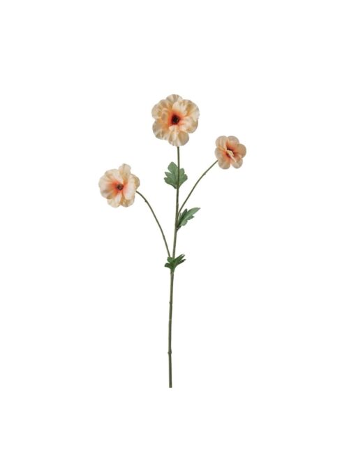 Japansk Ranuncel, Fersken, 62 cm