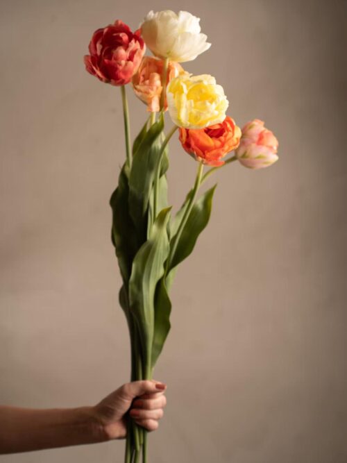 Tulipan Rosa 2