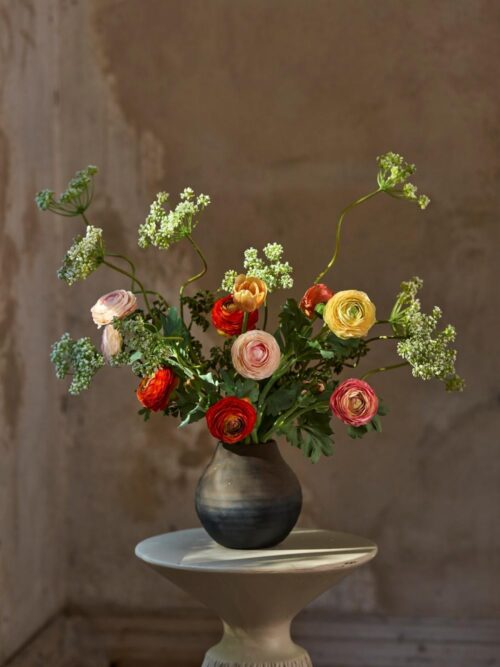 Ranuncel, Rosa, 50 cm 2