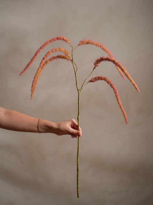 Amaranthus Rød, 65 cm 2