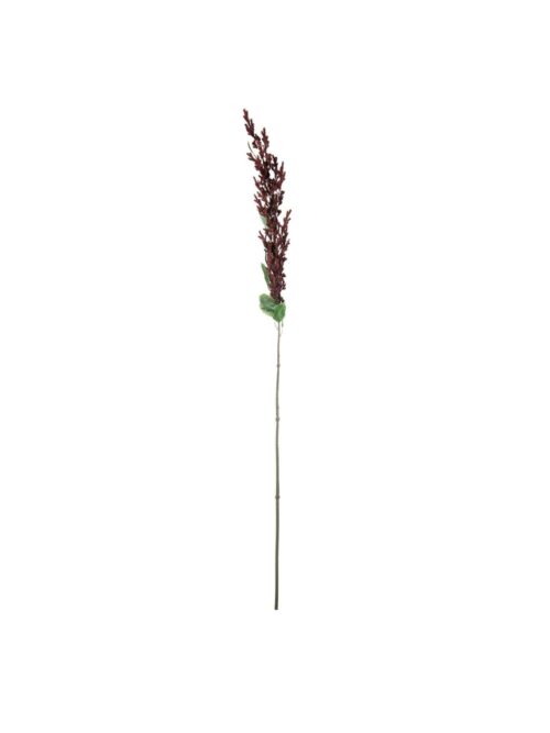 Amaranthus, Burgunder, 95 cm
