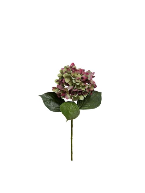 Hortensia, Rødgrønn, 65 cm