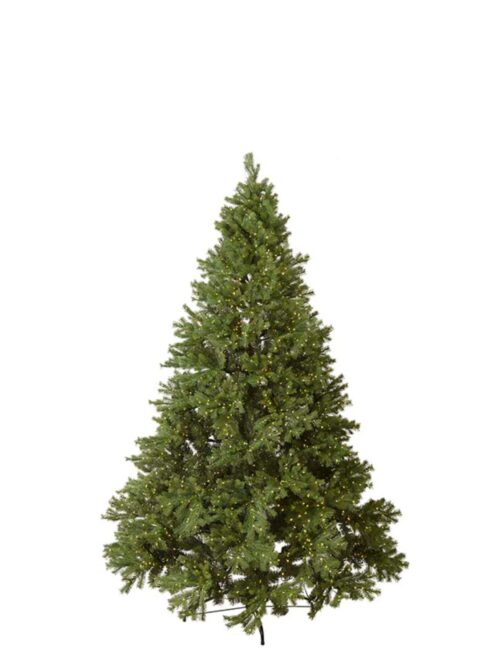 Gran Dovre, 210 cm