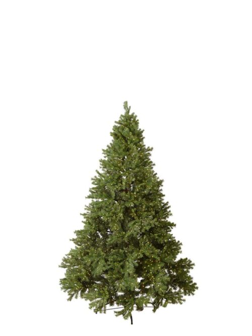Gran Dovre, 180 cm