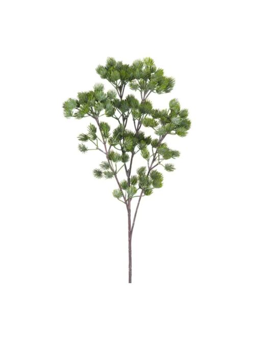 Lerkekvist, 65 cm